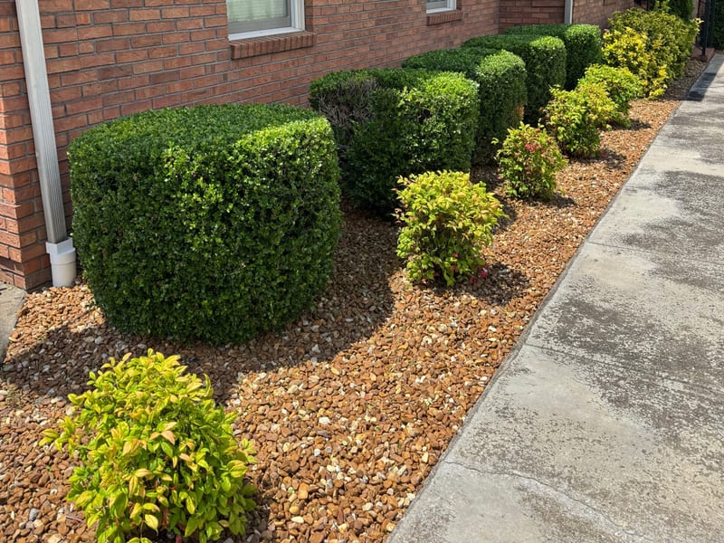Landscaping